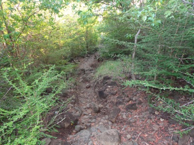 Some trails not so nice Some trails not so nice